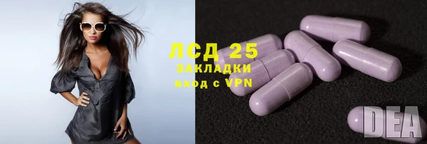 spice Богородск