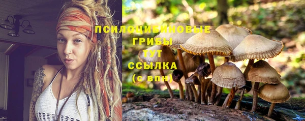 мяу мяу кристалл Бородино