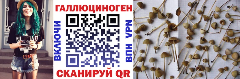 Галлюциногенные грибы ЛСД  Карпинск 